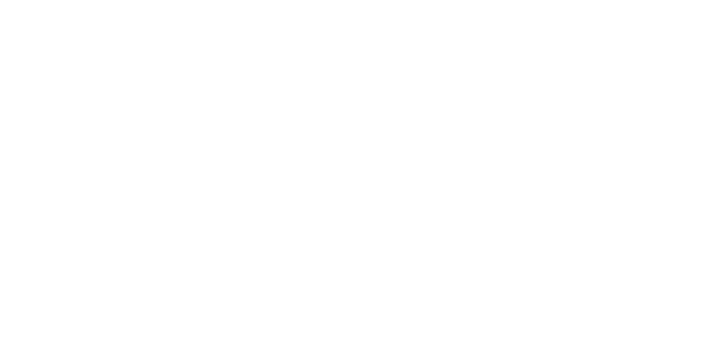 Leaders In Care